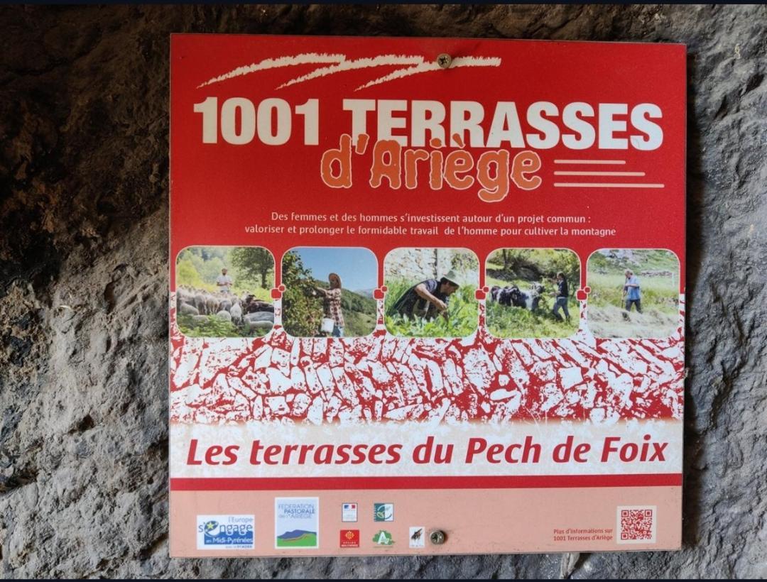Hebergements Entiers Two Homes T1 Bas Or T1 Haut -Aux Terrasses Du Pech Foix Eksteriør bilde